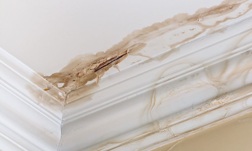 Services to Solve the Water Damage Issues in Michigan